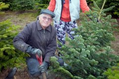 Christmas-Trees-03122017-0015