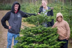 Christmas-Trees-03122017-0041