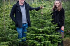 Christmas-Trees-03122017-0052