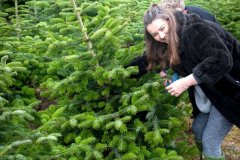 Christmas-Trees-03122017-0068