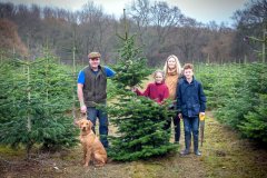 Christmas-Trees-03122017-0197