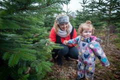 Christmas-Trees-03122017-0220