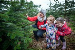 Christmas-Trees-03122017-0233