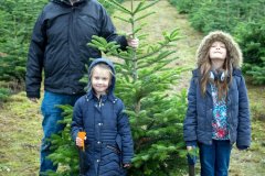 Christmas-Trees-03122017-0259