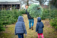 Christmas-Trees-03122017-0285