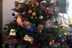 Christmas-Trees-24092020-005