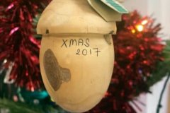 Christmas-Trees-24092020-008